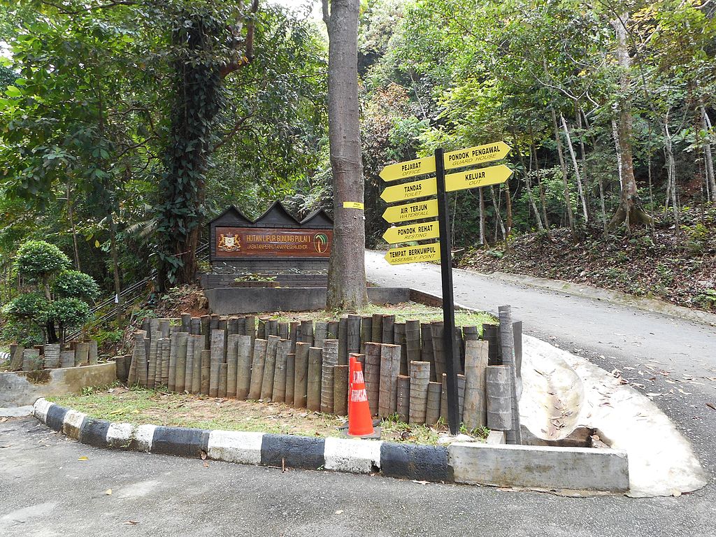 Mount Pulai, Johor