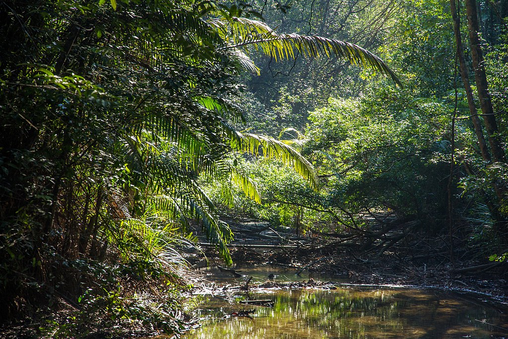 Penang National Park, Penang