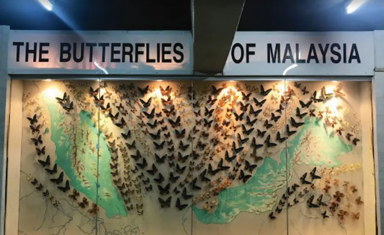 KL Butterfly Park